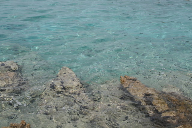 gal/cro 08/small-IMG_4615.JPG